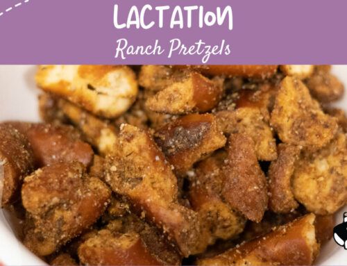 Introducing New Ranch Pretzels to Bessie’s Best Lactation Treats Lineup